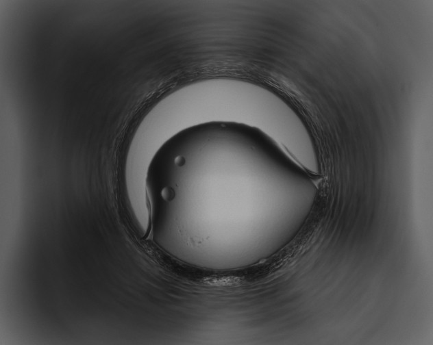 X0000095680452200801291200