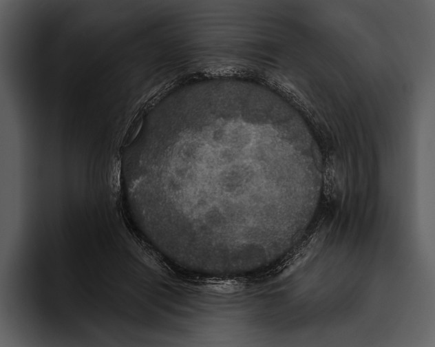 X0000095680454200801291200