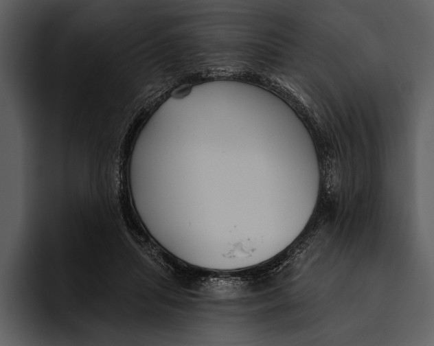 X0000095680455200801291200