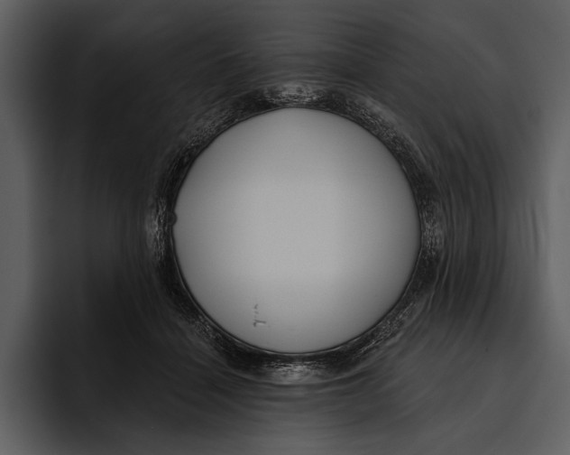 X0000095680460200801291200