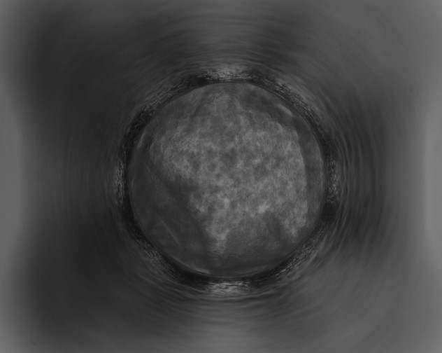 X0000095680461200801291200