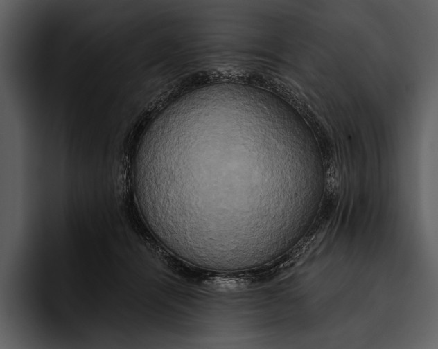 X0000095680464200801291200