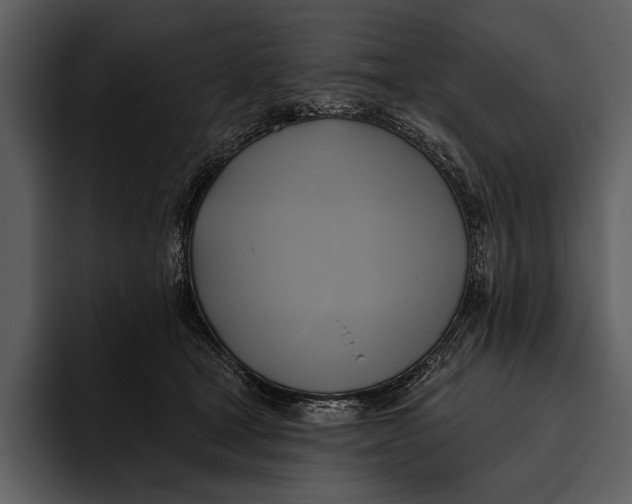 X0000095680465200801291200