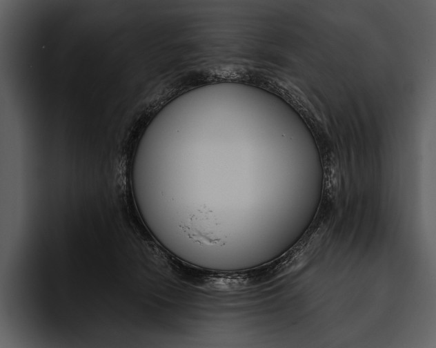 X0000095680466200801291200