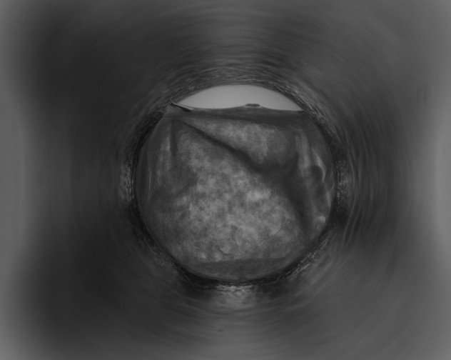 X0000095680469200801291200