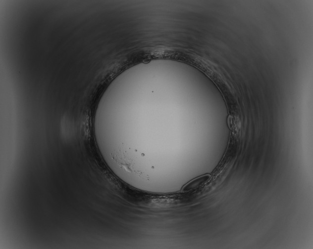 X0000095680470200801291200