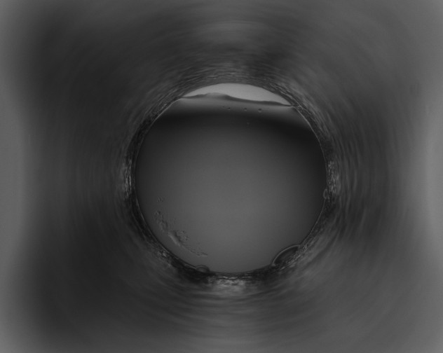 X0000095680471200801291200