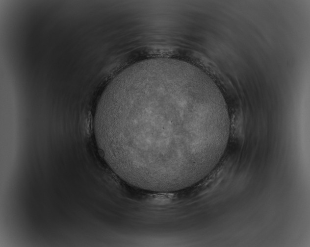 X0000095680474200801291200