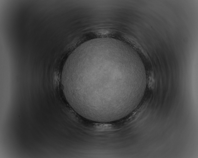 X0000095680476200801291200