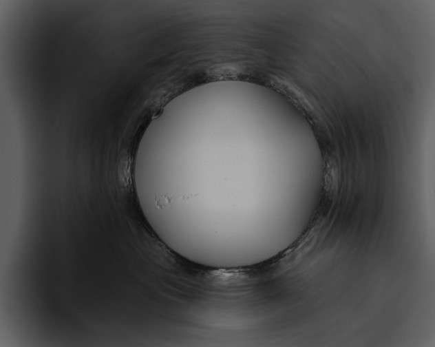 X0000095680477200801291200