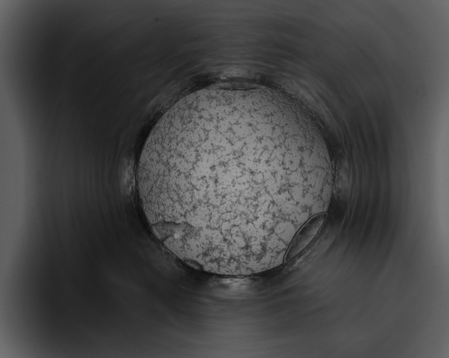 X0000095680478200801291200