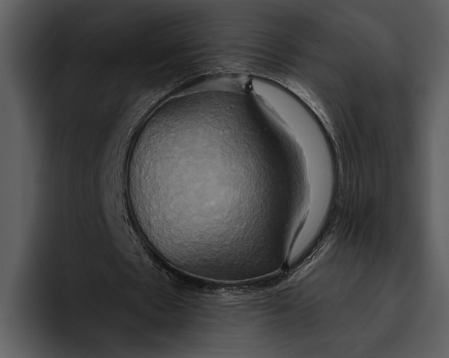 X0000095680481200801291200