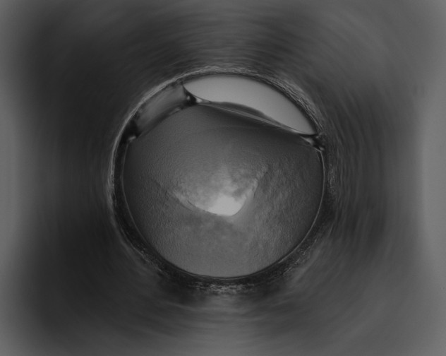 X0000095680484200801291200