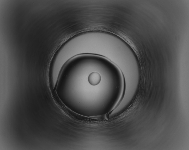 X0000095680485200801291200