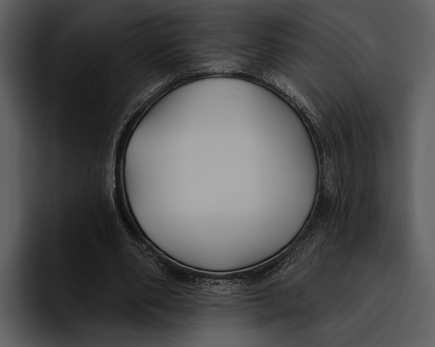 X0000095680486200801291200