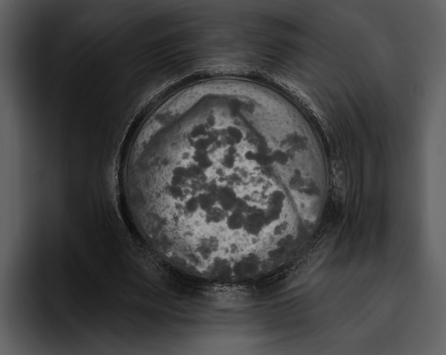 X0000095680487200801291200