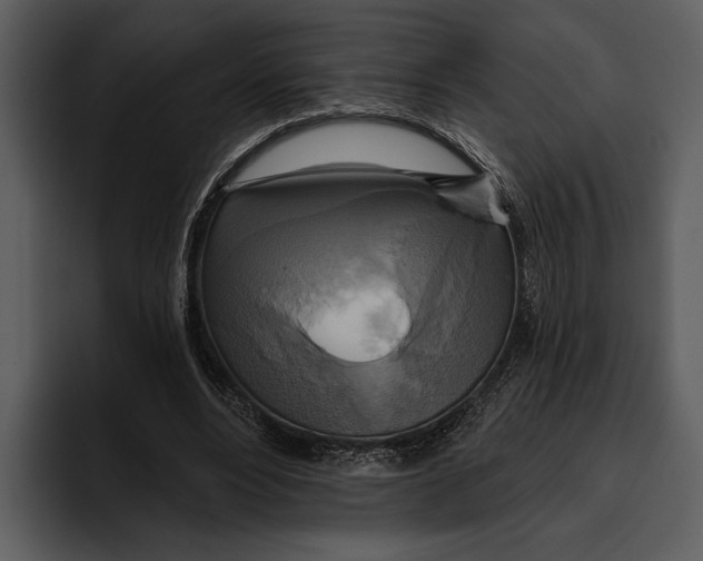 X0000095680488200801291200