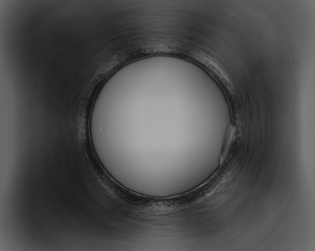 X0000095680489200801291200