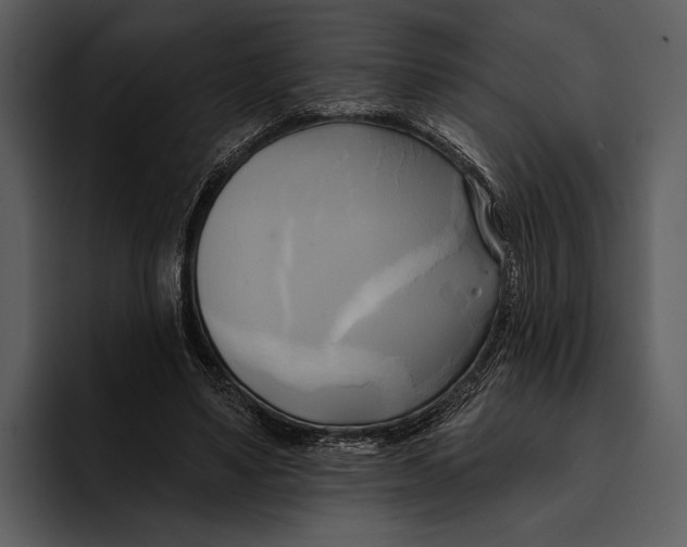 X0000095680491200801291200