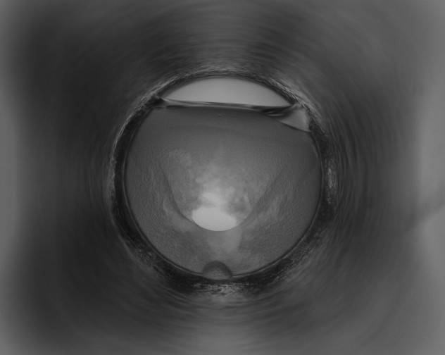 X0000095680492200801291200