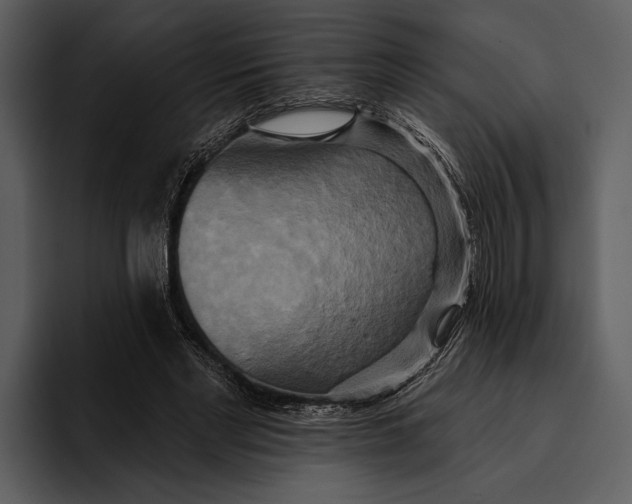 X0000095680493200801291200