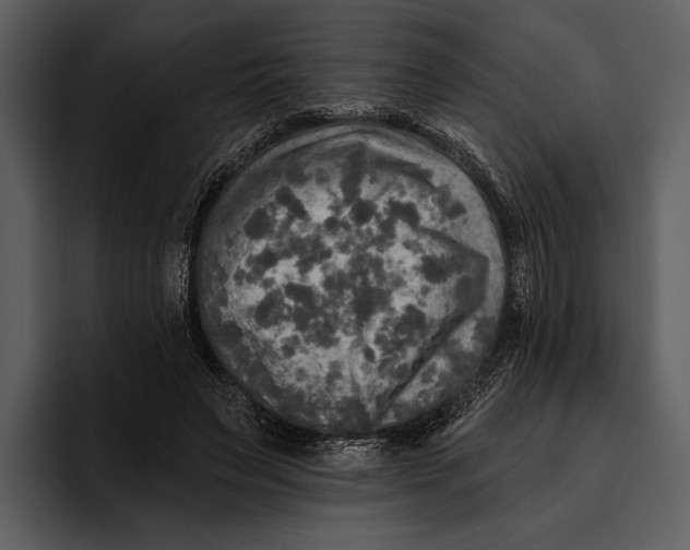 X0000095680495200801291200