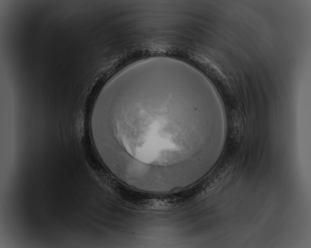 X0000095680496200801291200