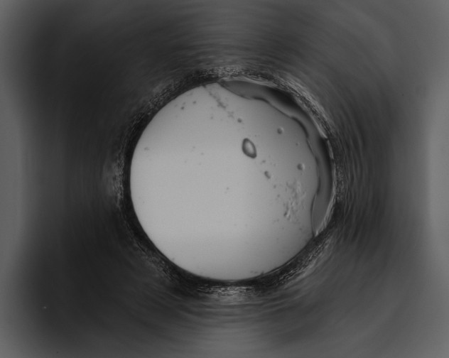 X0000095680497200801291200