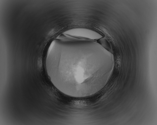 X0000095680500200801291200