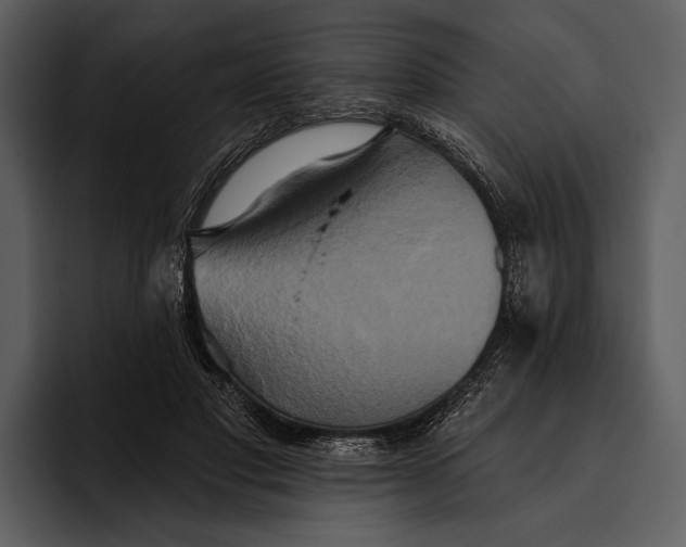 X0000095680501200801291200