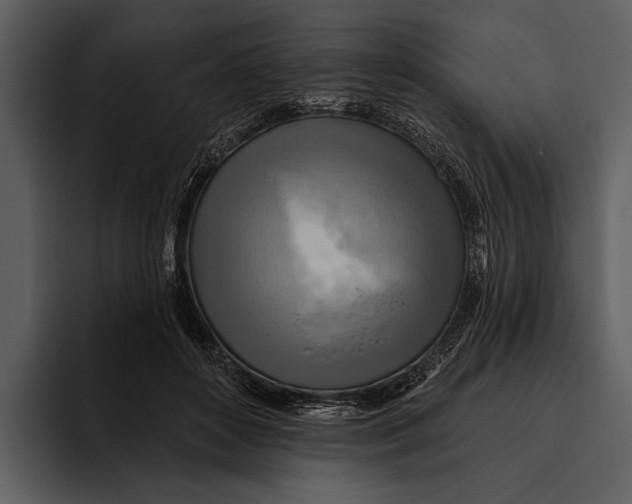 X0000095680504200801291200