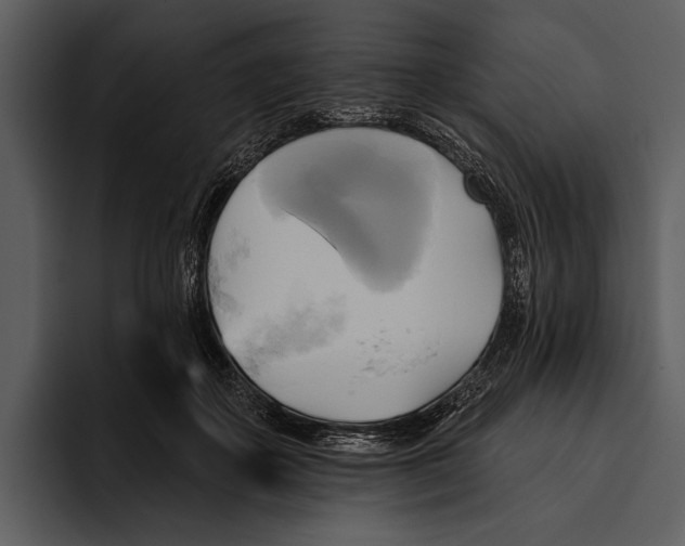 X0000095680507200801291200