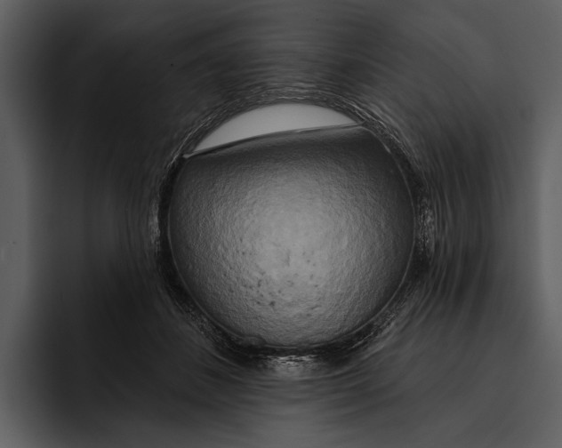 X0000095680508200801291200