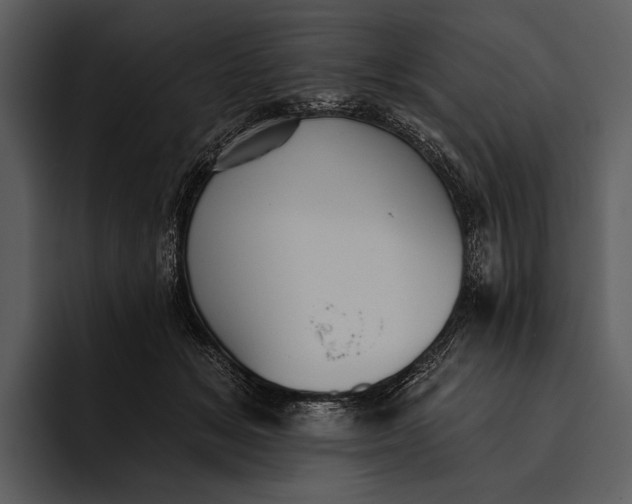 X0000095680509200801291200