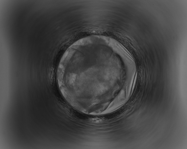 X0000095680511200801291200