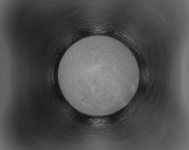 X0000095680512200801291159