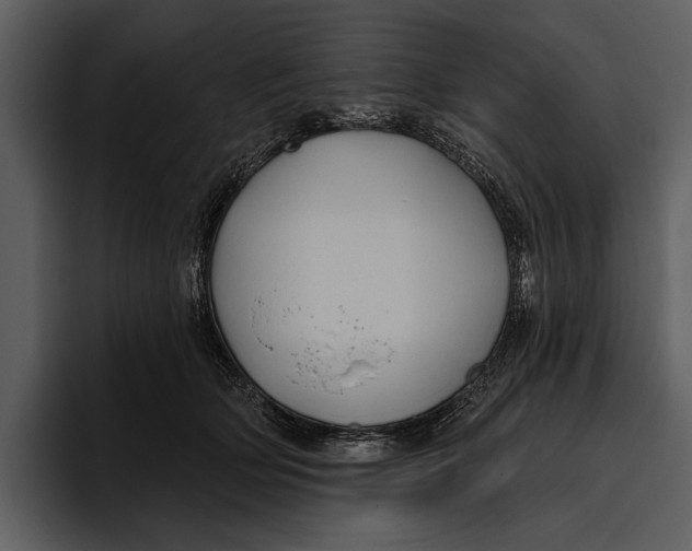 X0000095680514200801291159