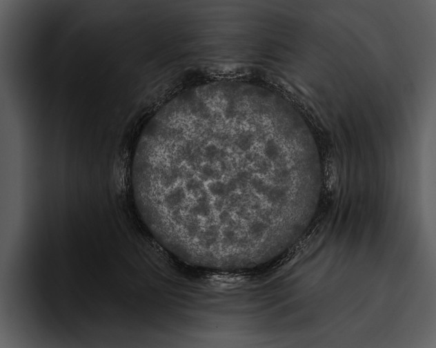 X0000095680515200801291159