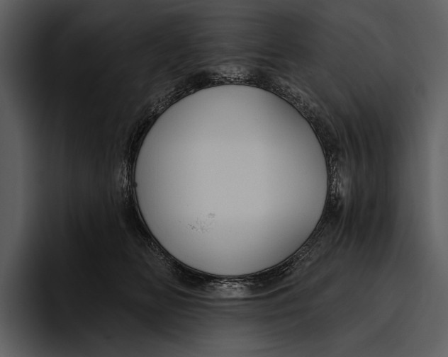 X0000095680518200801291159