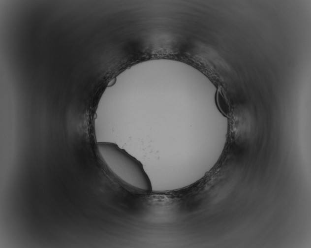 X0000095680519200801291159