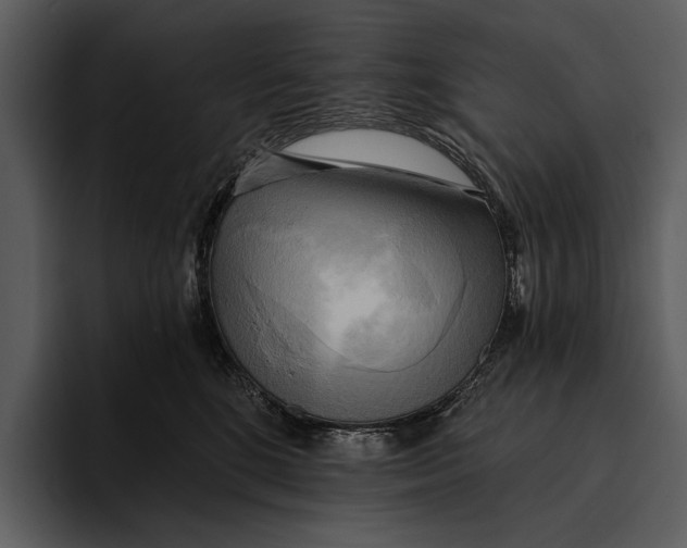 X0000095680520200801291159