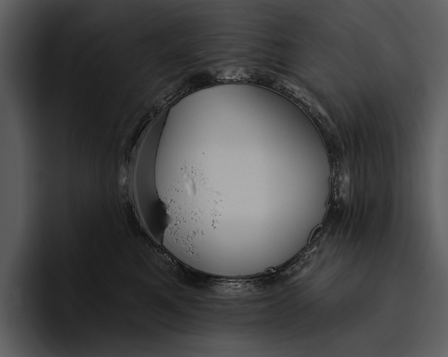 X0000095680521200801291159