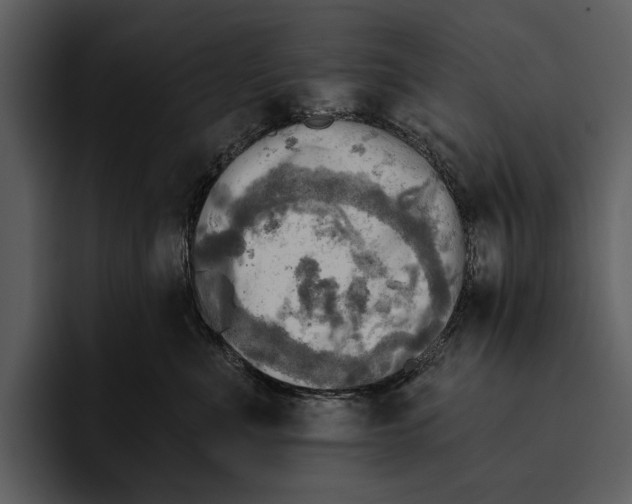 X0000095680523200801291159