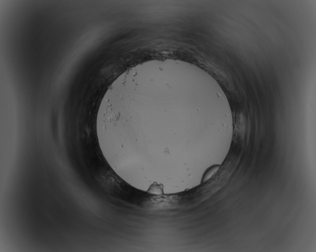 X0000095680526200801291159