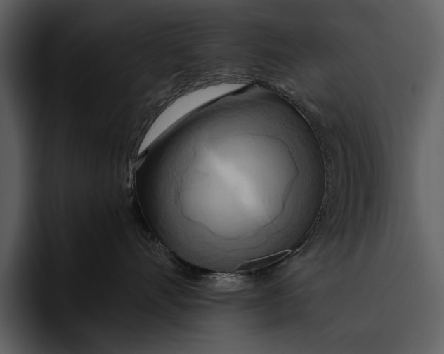 X0000095680528200801291159