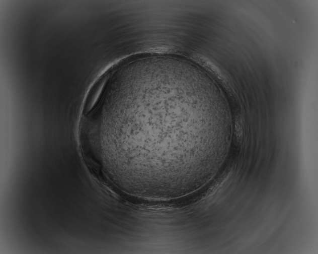 X0000095680532200801291159