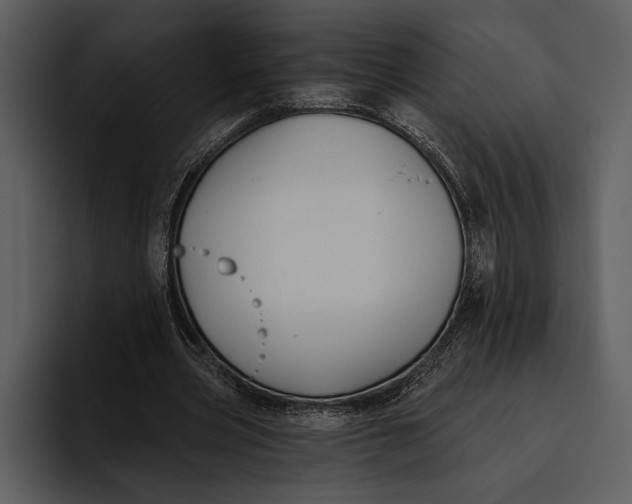 X0000095680533200801291159