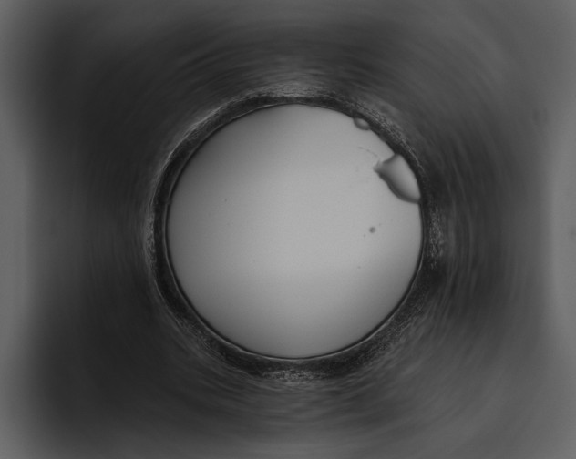 X0000095680535200801291159