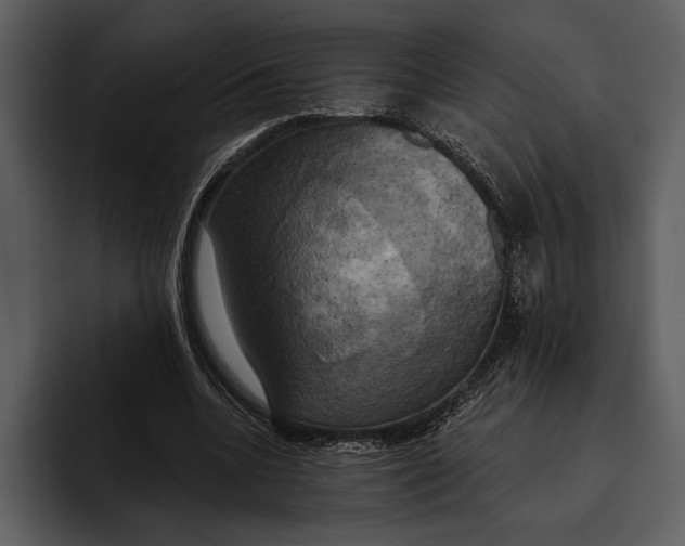 X0000095680536200801291159