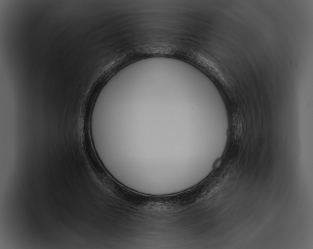 X0000095680538200801291159